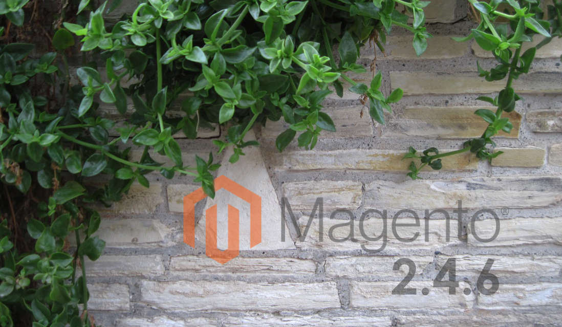 Magento 2.4.6 release